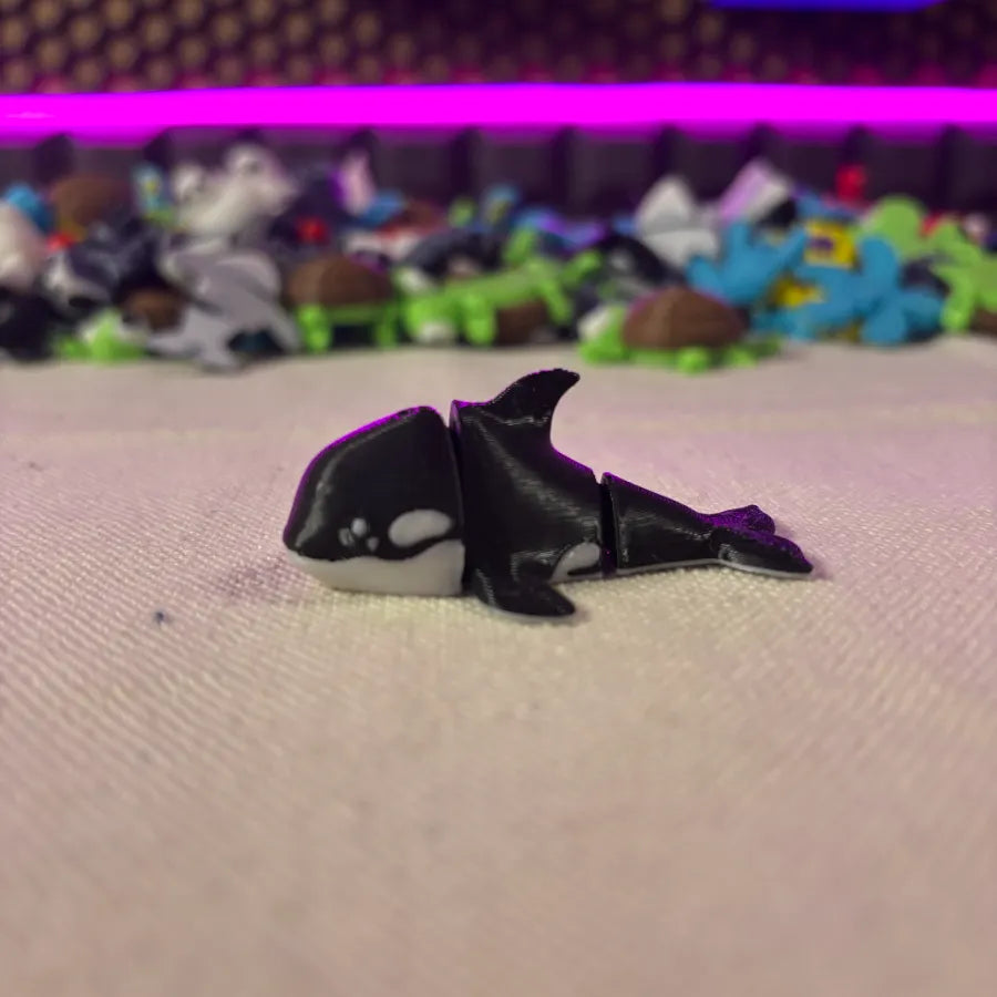 killer whale