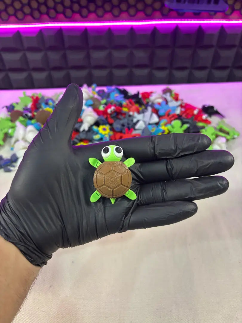 turtle