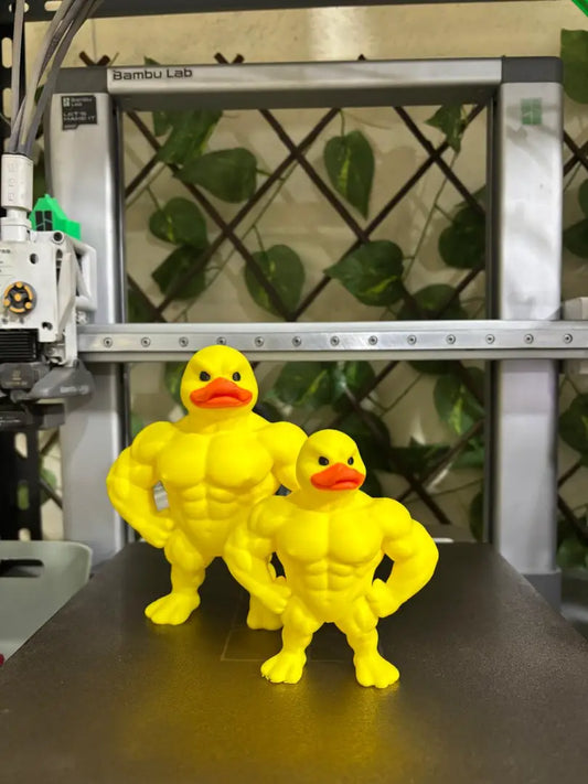 Koky Duck