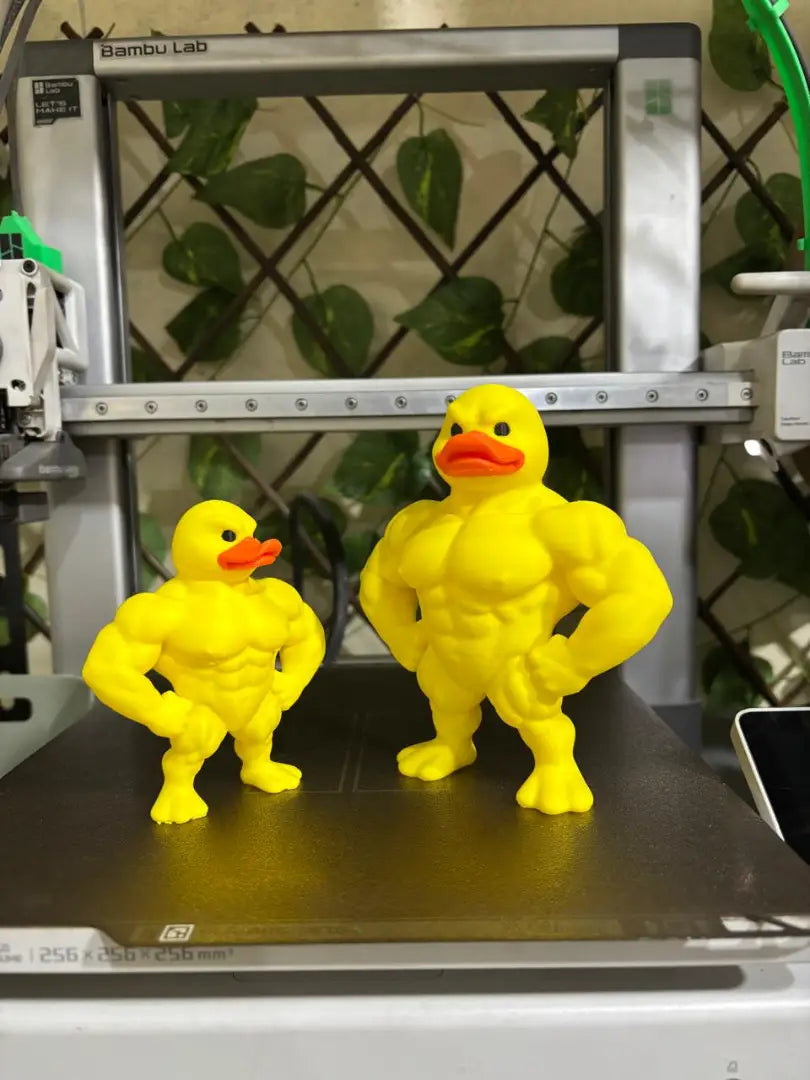 Koky Duck