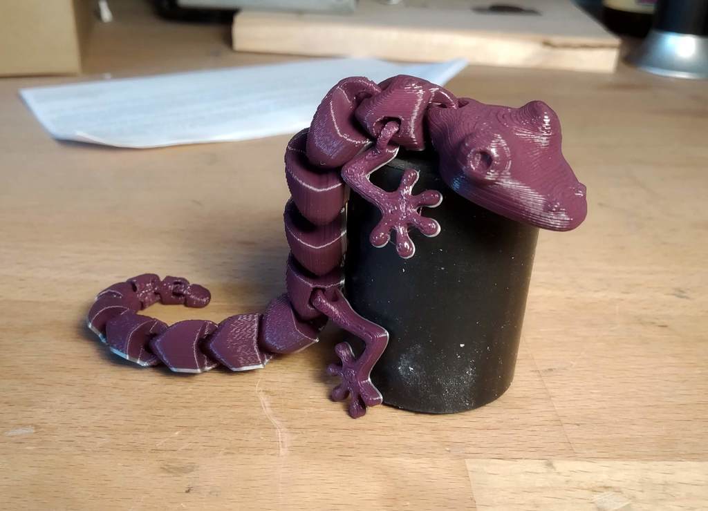 lizard