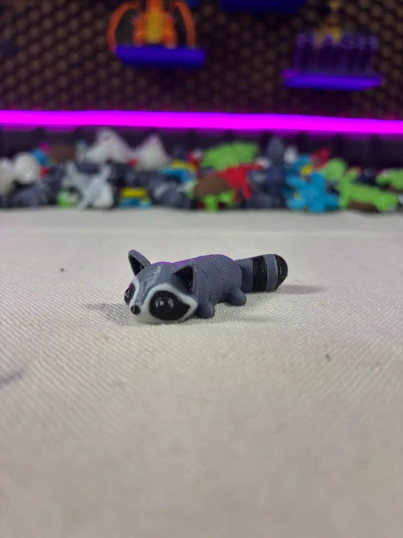 Racoon