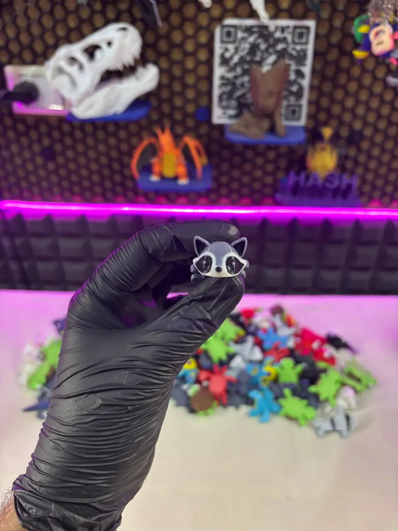 Racoon