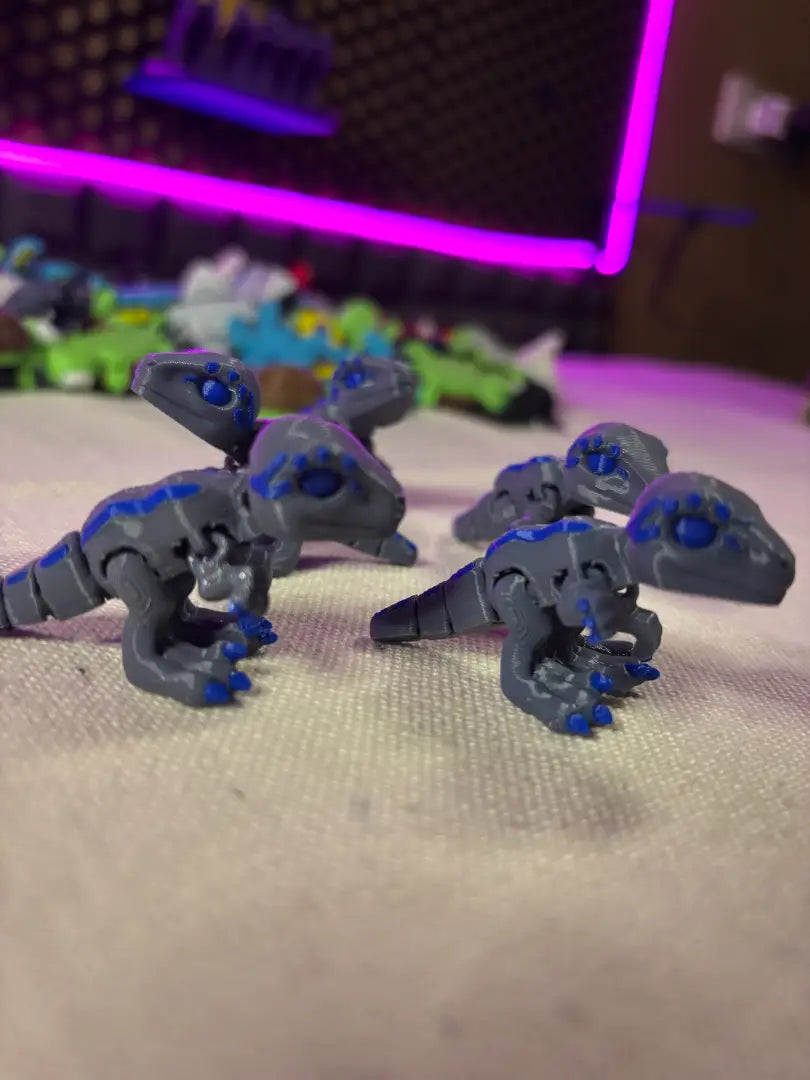 Raptor