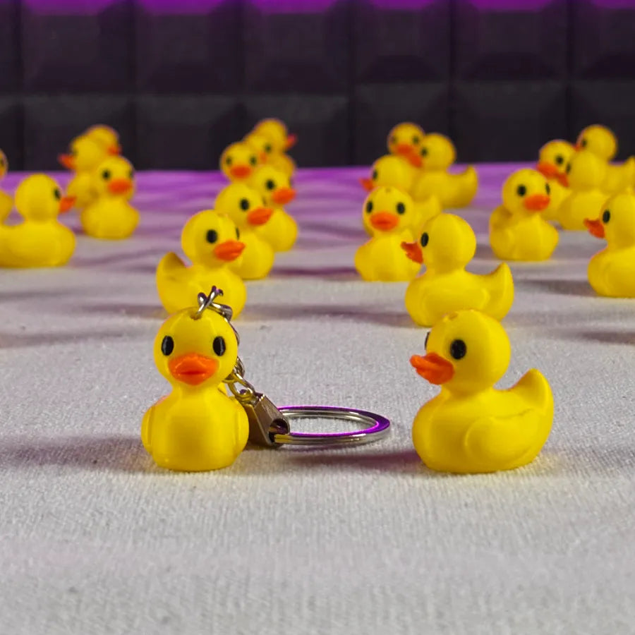 Duck