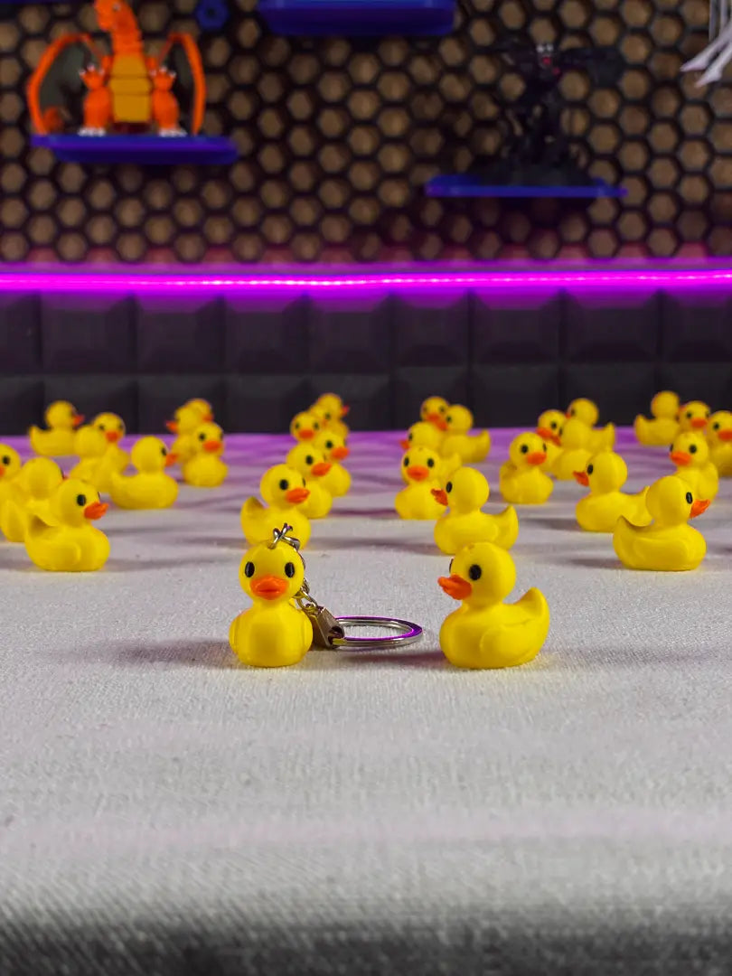 Duck