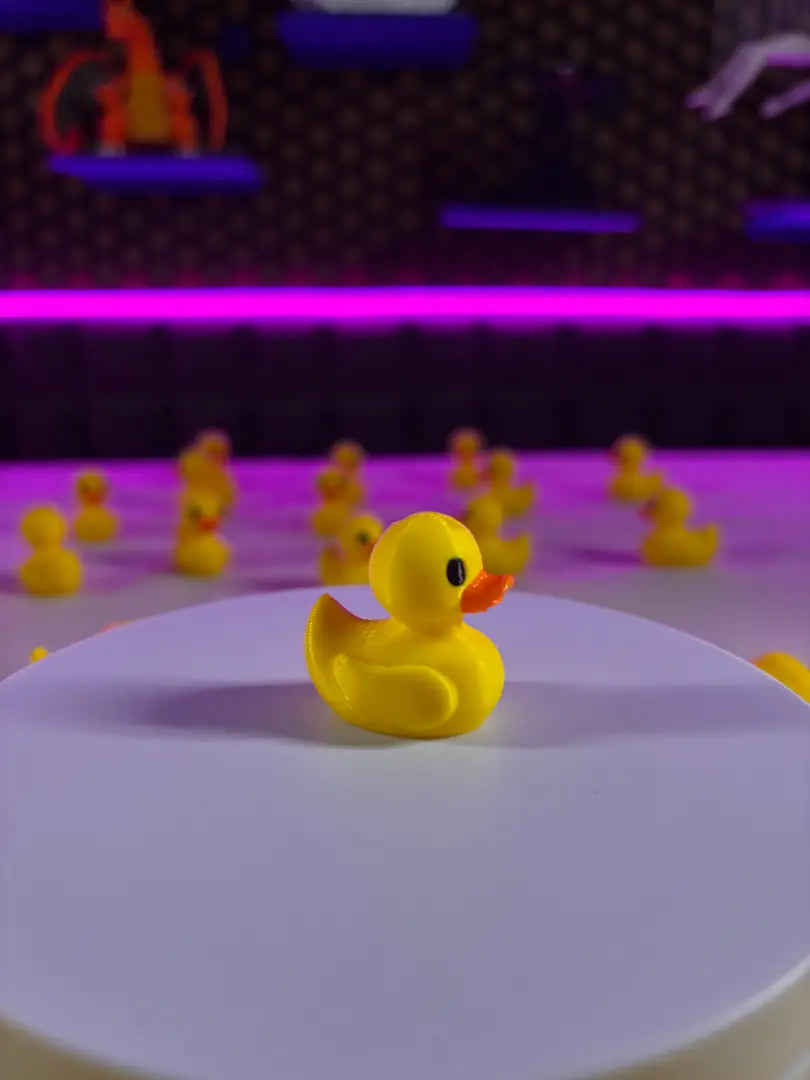 Duck