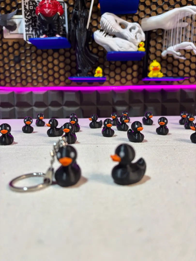 Duck
