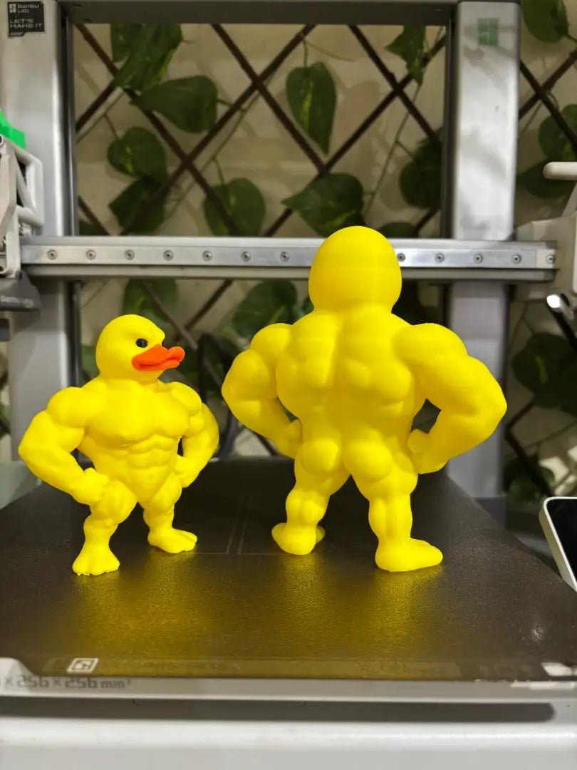 Koky Duck