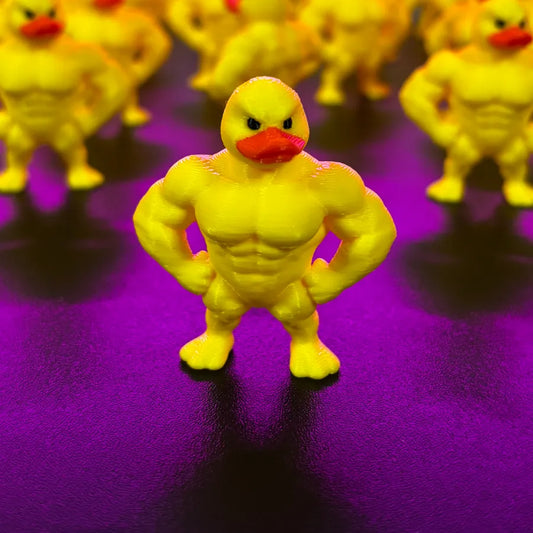 Koky duck