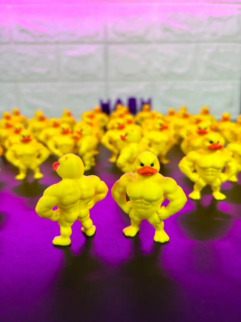Koky duck