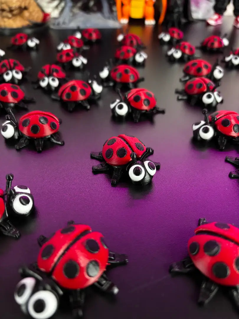 Ladybug