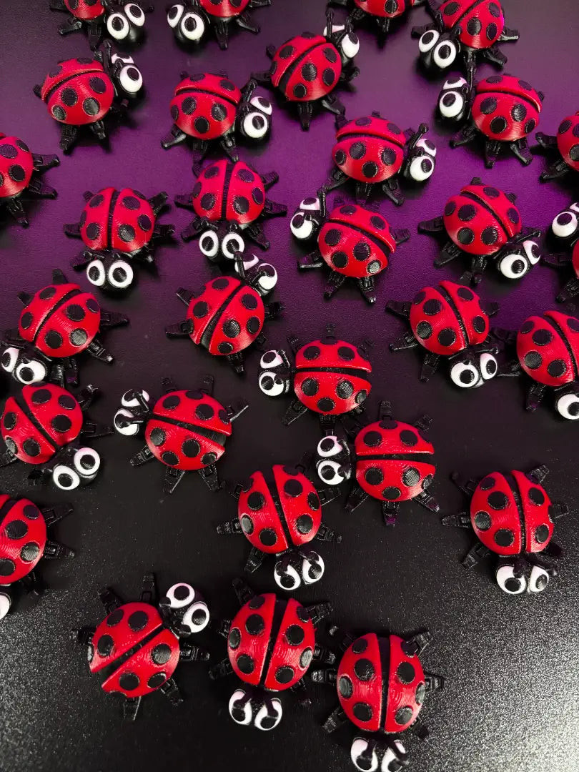 Ladybug