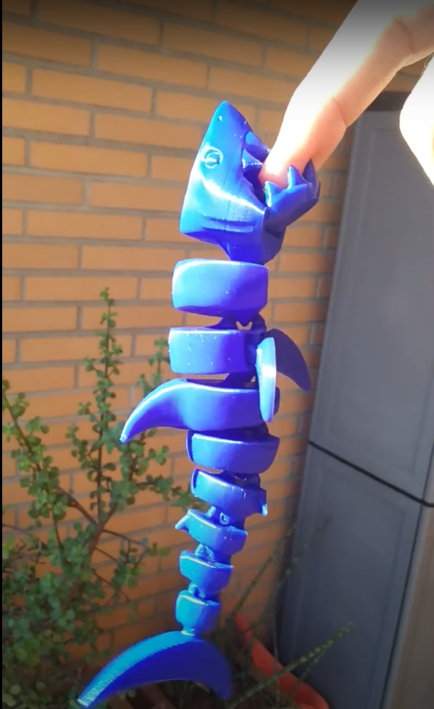 Shark