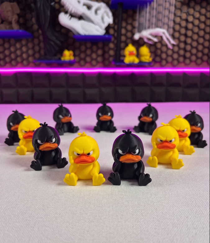 Big Angry duck